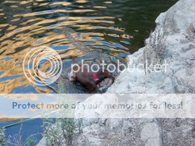 100_0713.jpg