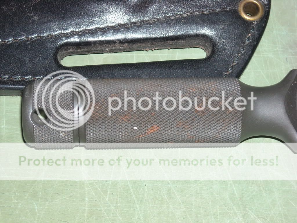 DSCN3108.jpg
