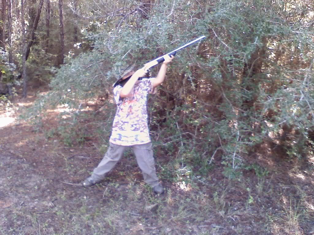 treerat.jpg