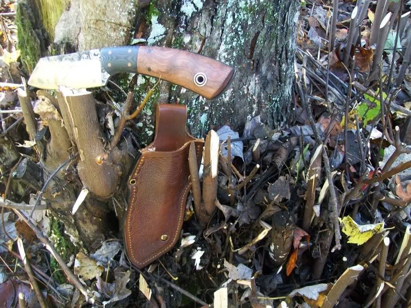 Fiddlebackforge007.jpg
