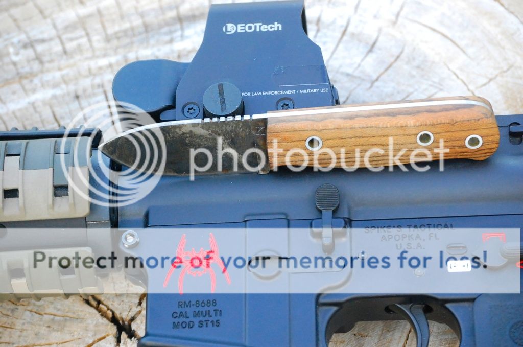 ewokAR03.jpg