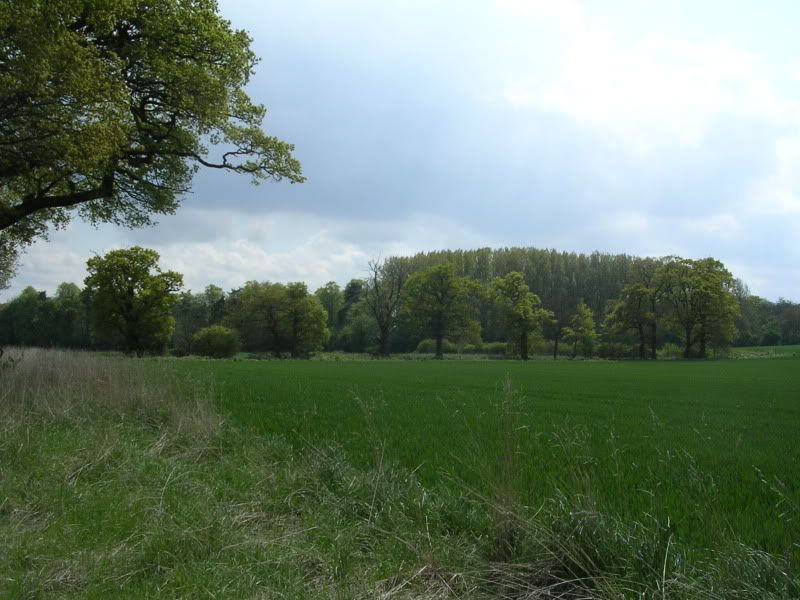 DSCN0835.jpg