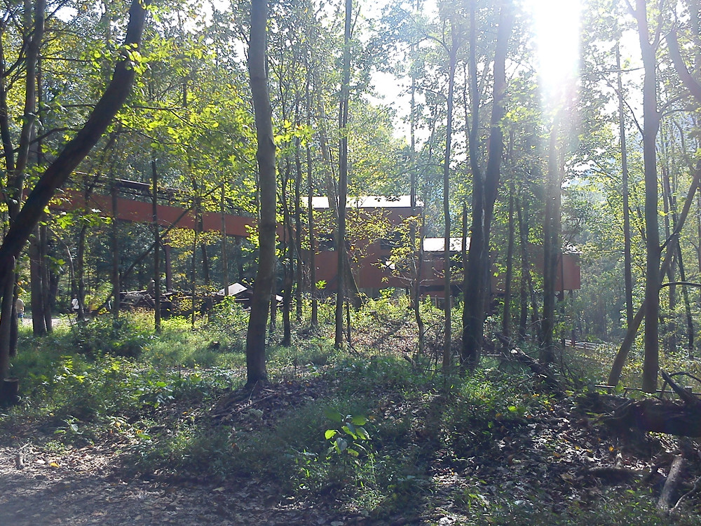 8050719534_eab44ef51b_b.jpg