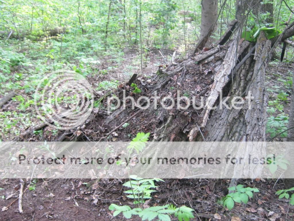 june192010037.jpg