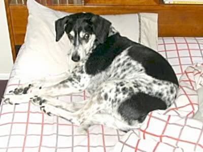 DSCN1653.jpg