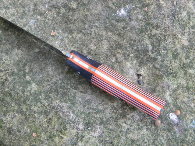 DSCN1463.jpg