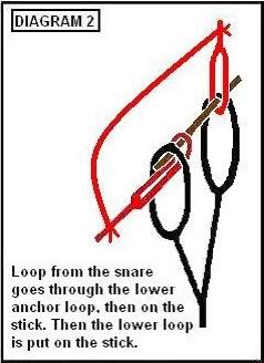 correcteddiagramnailtrap.jpg