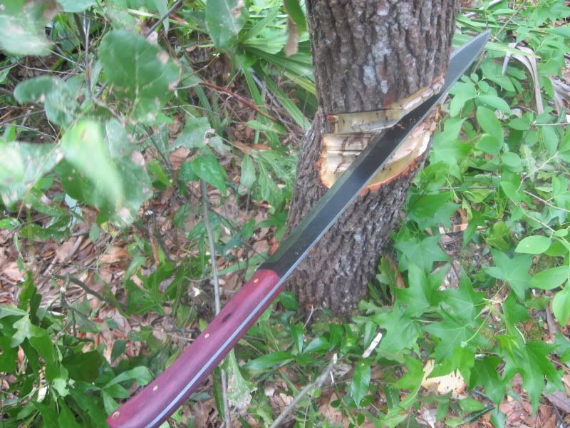 Challenge025.jpg