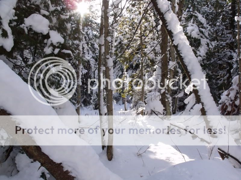 snowshoeslateDecember2012.jpg