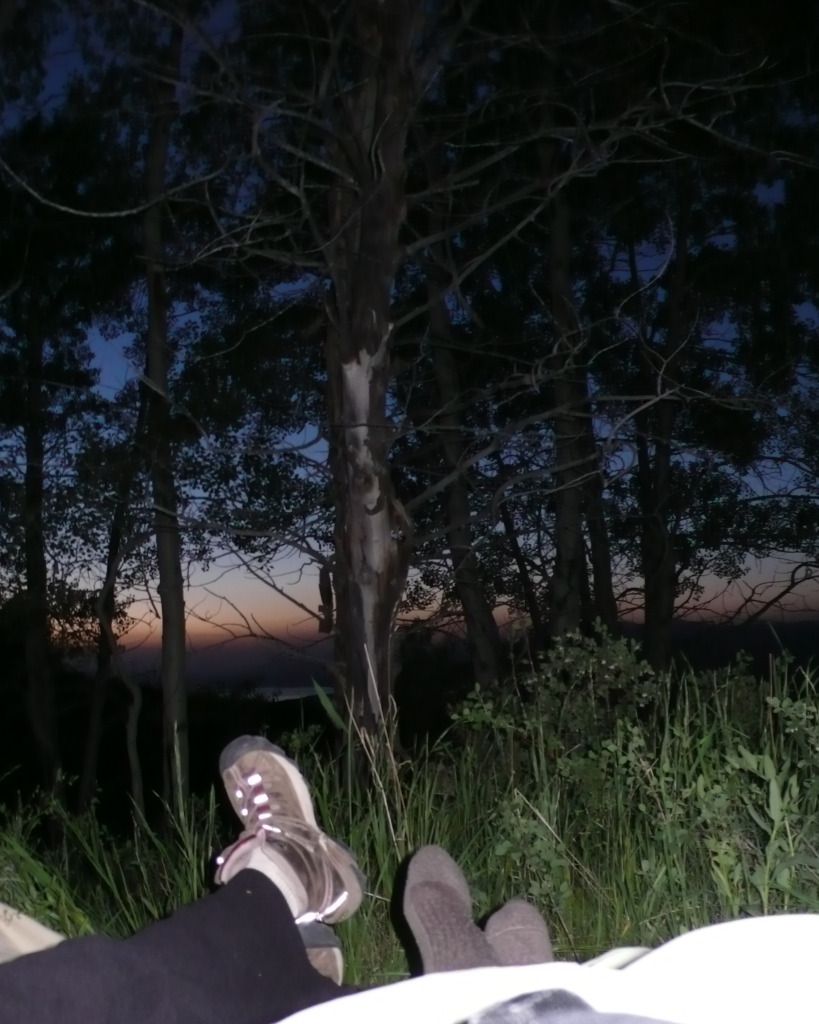 L1040175footview.jpg