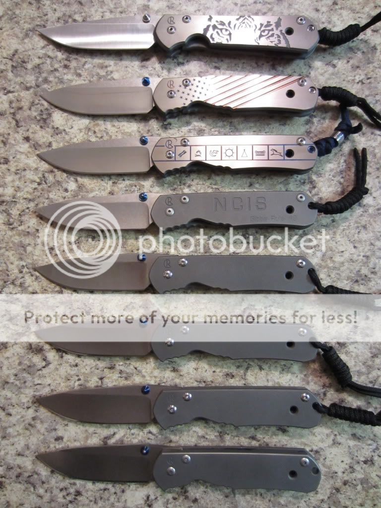 CRK-LargeSebenzaFamily-1.jpg
