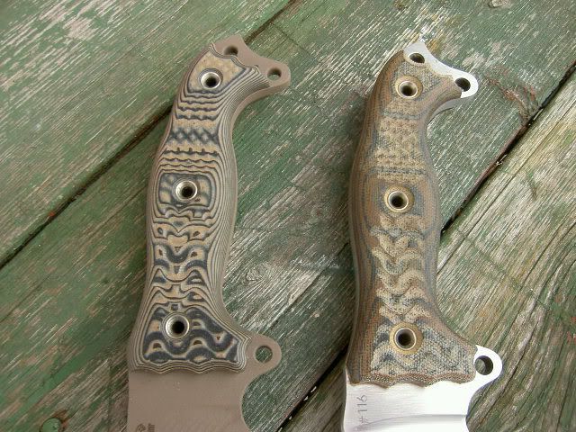 PICT3992.jpg