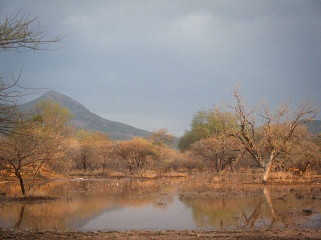 DSCF2391.jpg