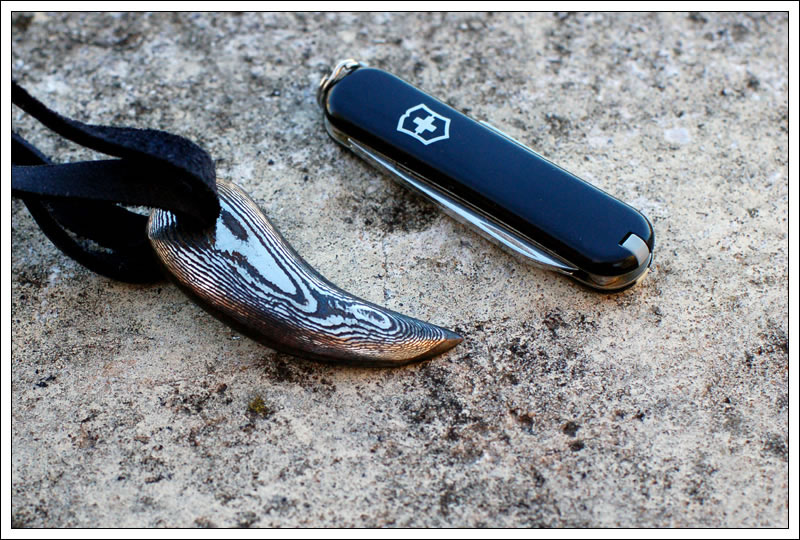 hk3claw1.jpg