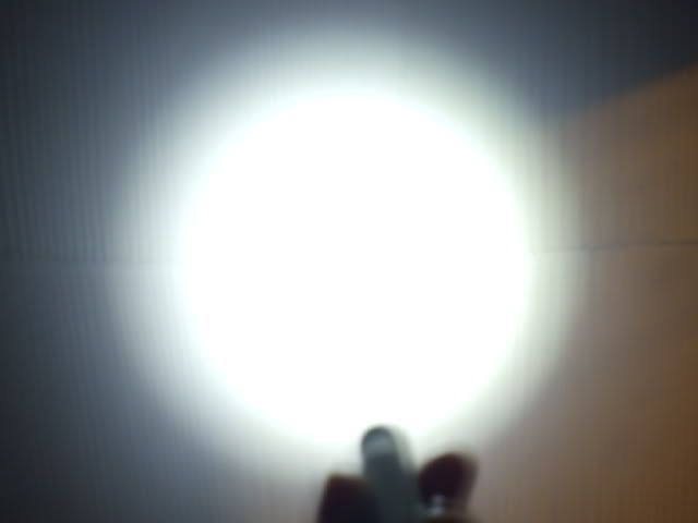 Seanspictures414.jpg