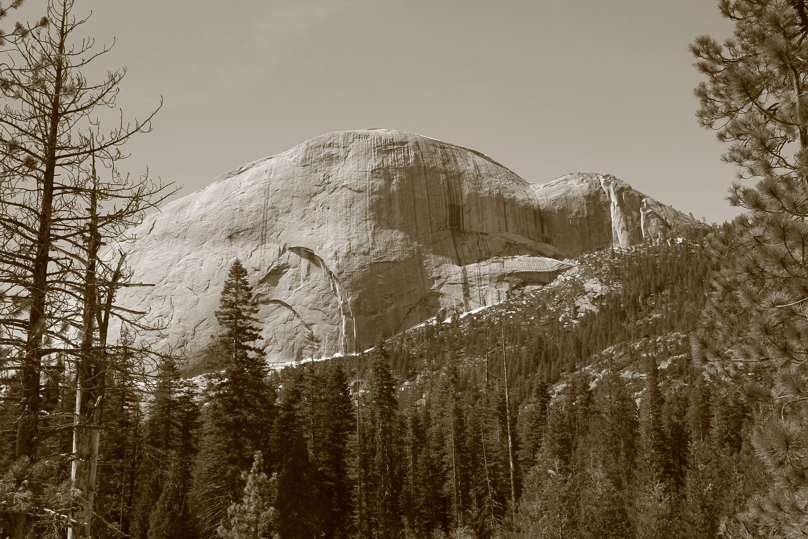 IMG_6797.jpg