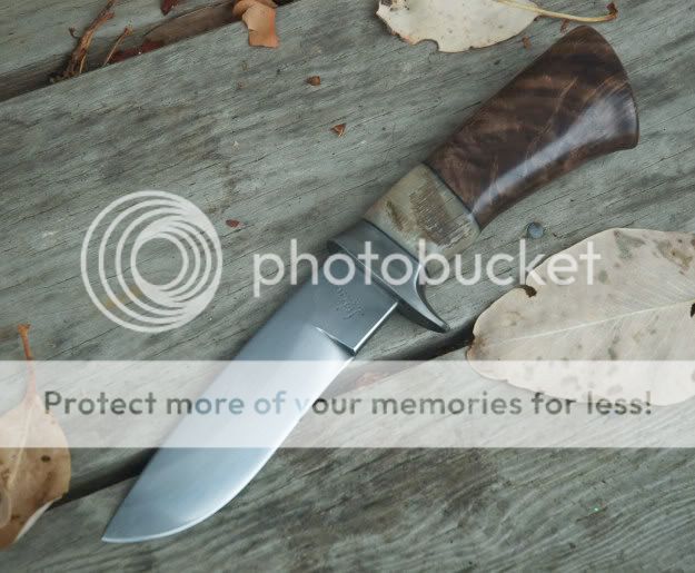 MyFowlertake2_1.jpg