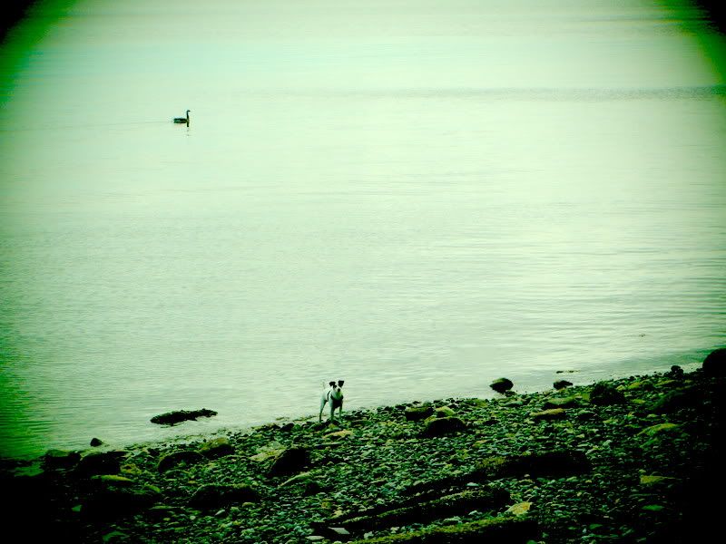 013-3.jpg