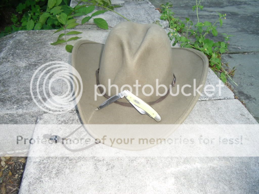 PICT0021-15.jpg
