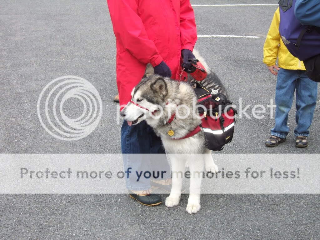 DSCF1058.jpg