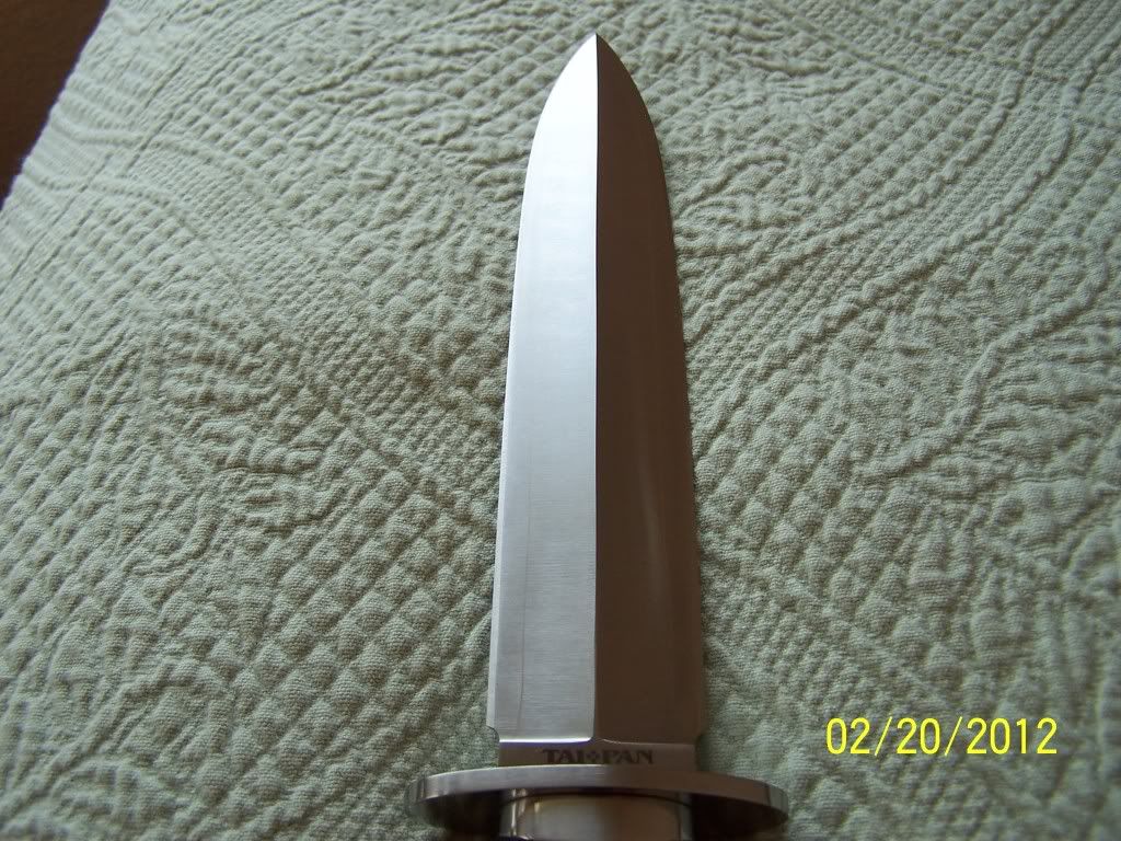 taipan013.jpg