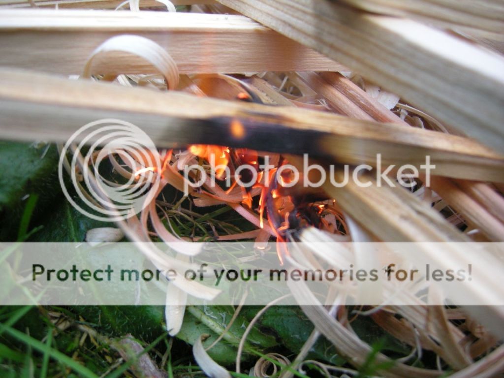 FireContest003.jpg