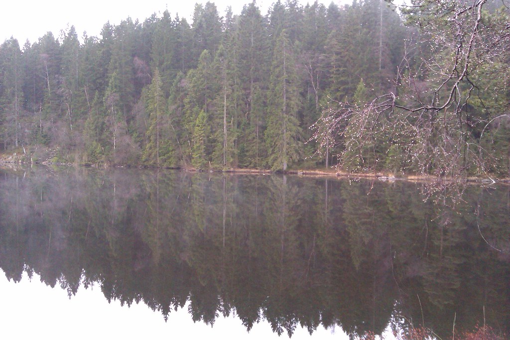 6953326514_ed8809b87a_b.jpg