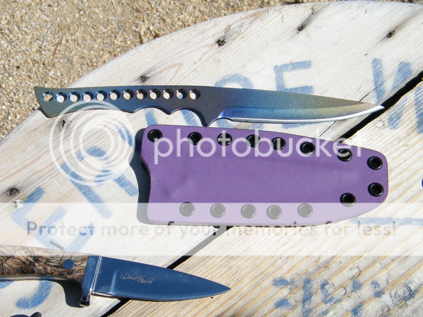 DSCF7238.jpg