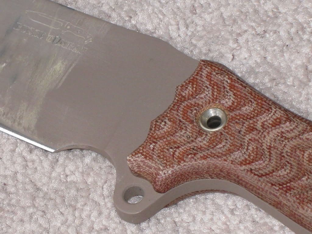 Picture447.jpg