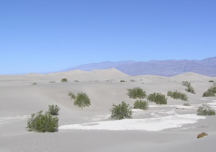 StovepipeDunes.jpg