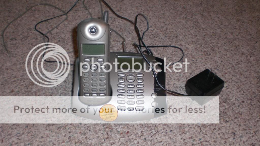 CIMG2223.jpg