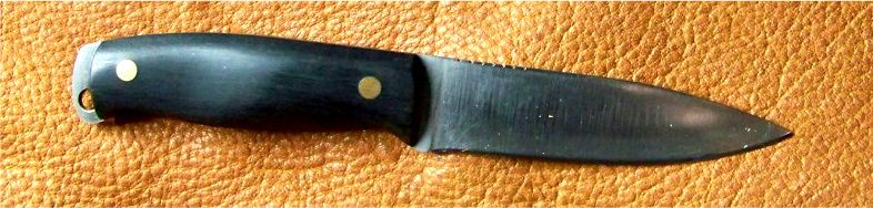 ebony2-1.jpg