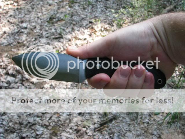 IMG_1169.jpg