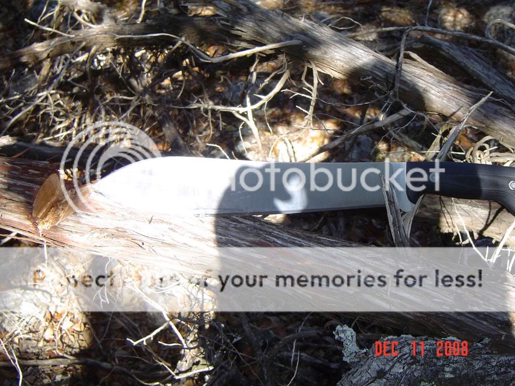DSC08824.jpg