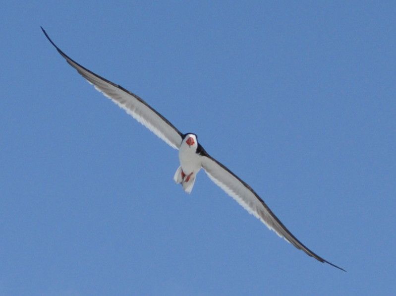 DSC_0051.jpg