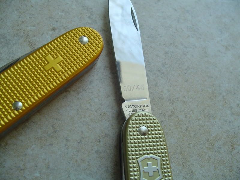 VicSpyderPics009.jpg