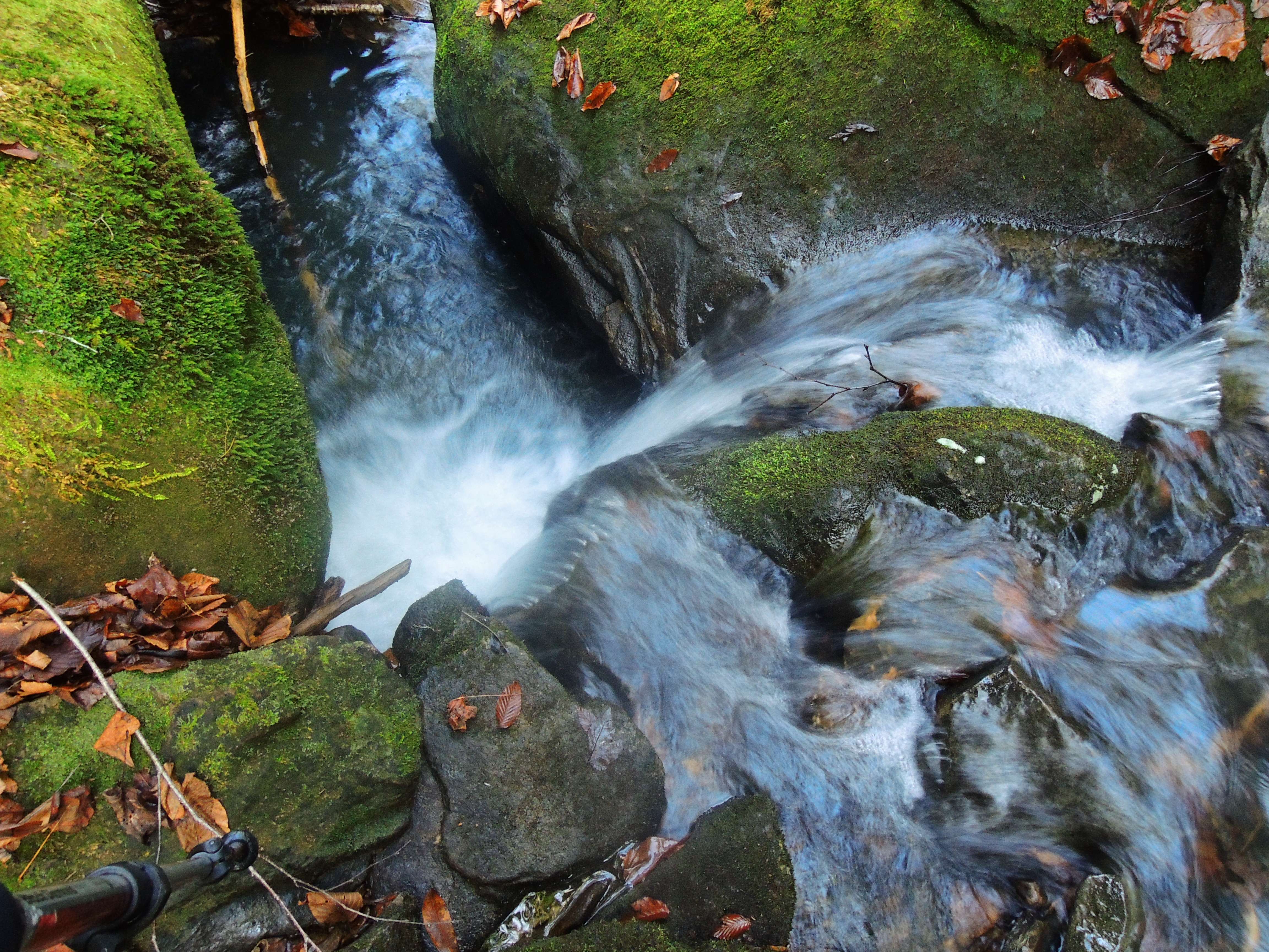 dscn5103i.jpg