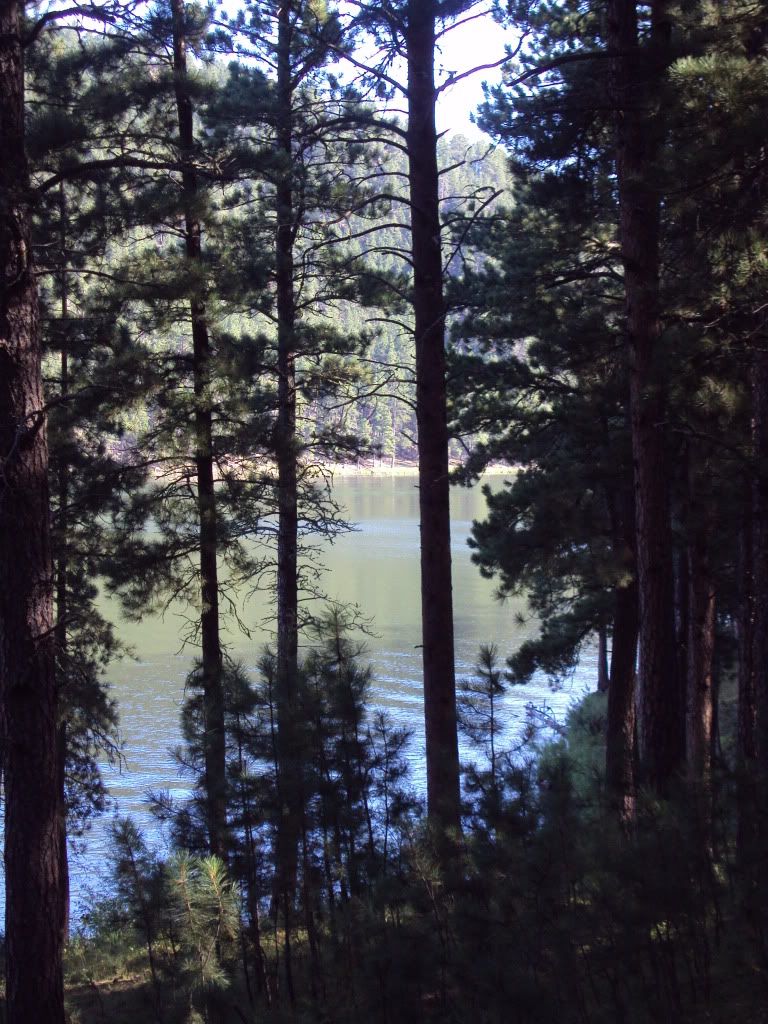 7d736abf.jpg