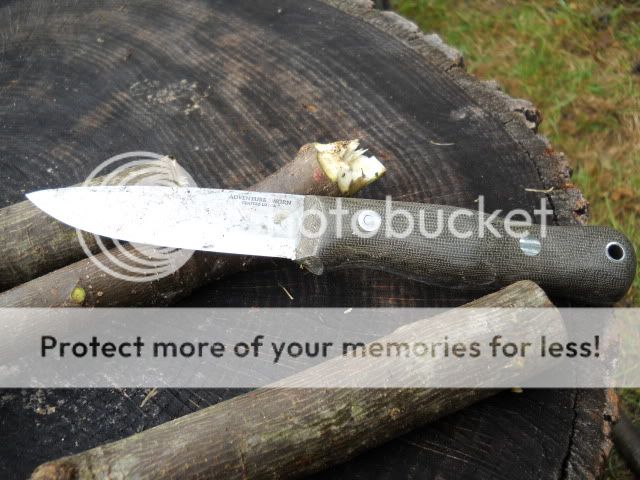 DSCN1082.jpg