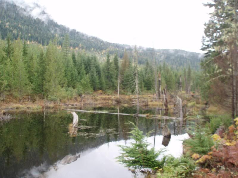 Oct2011005.jpg