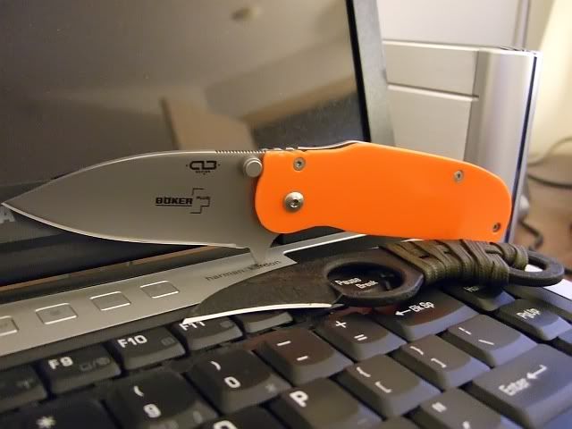 orangeg10.jpg