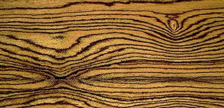 Bocote2.jpg