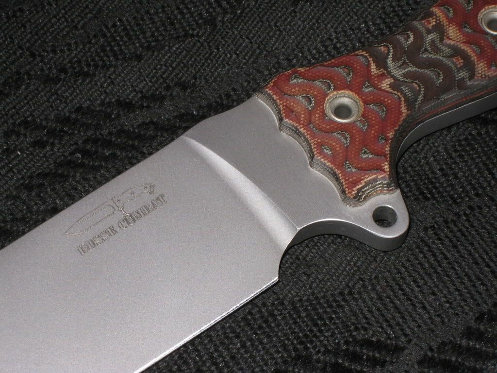 Picture335.jpg