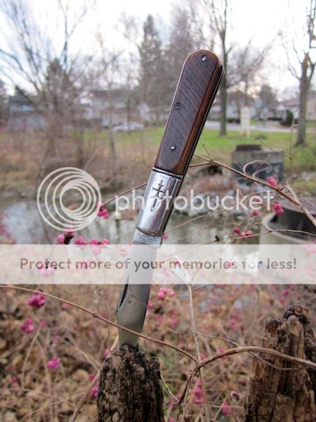 IMG_5047.jpg~original