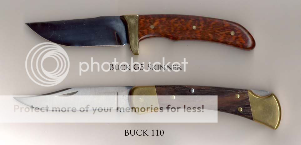 BuckG5and110.jpg