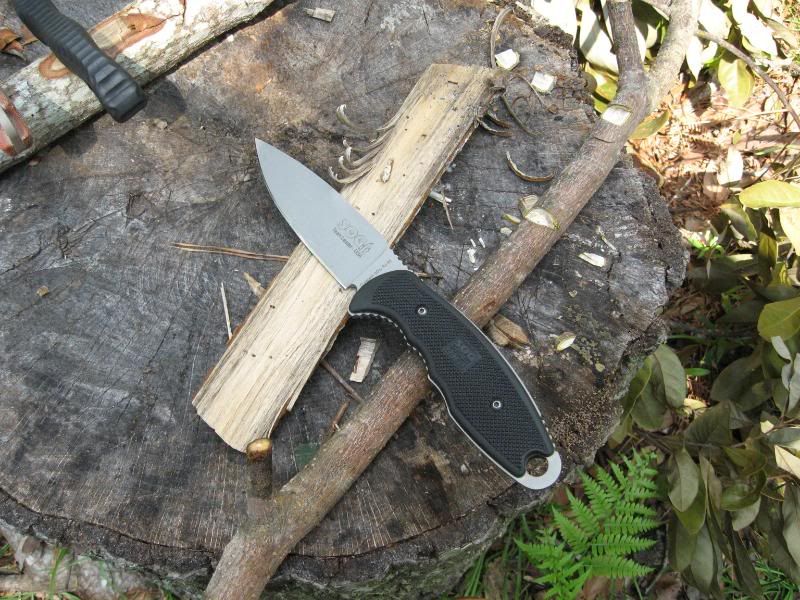 S5MOD014.jpg