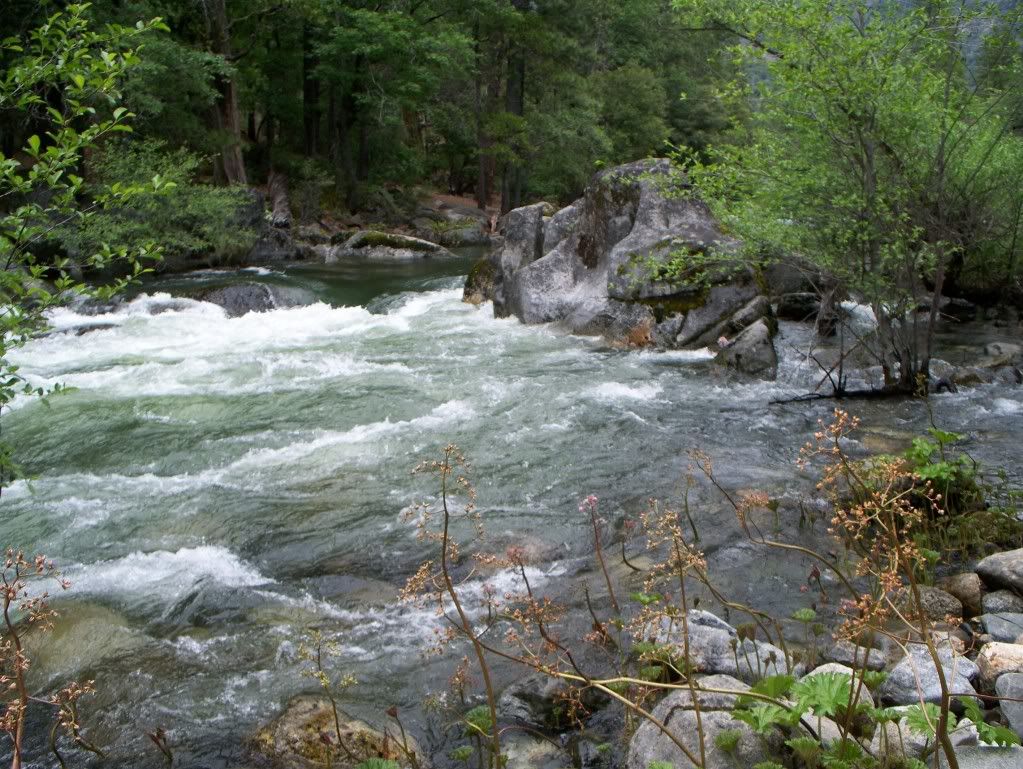 100_1148.jpg