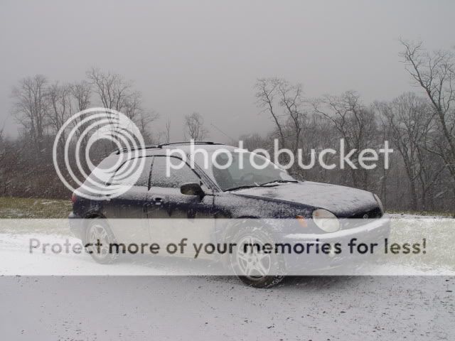 DSC08400.jpg