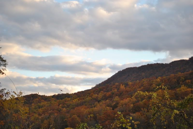 DSC_8454.jpg