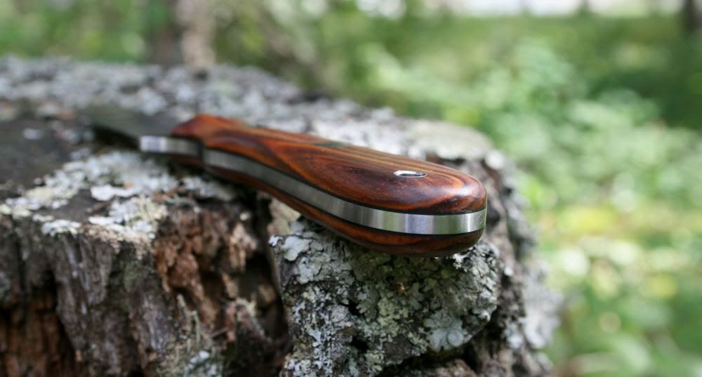 Cocobolo2-1.jpg